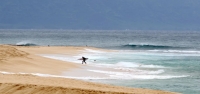 Un socorrista de Hawai muere en un ataque de tiburón cuando hacía surf en Oahu